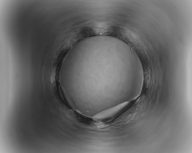 X0000094340221200711021456