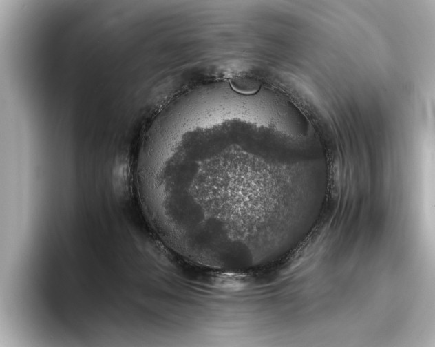 X0000094340222200711021456