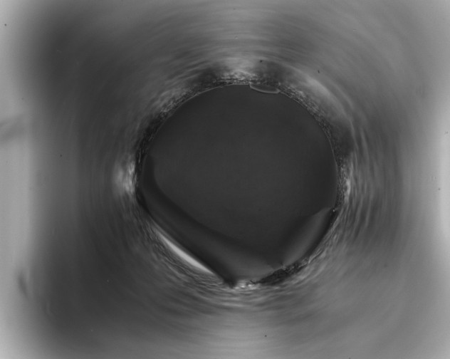 X0000094340223200711021456