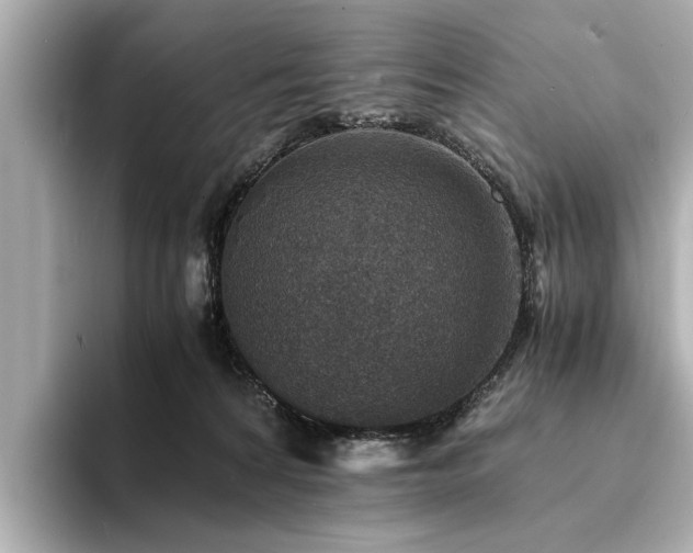 X0000094340224200711021456