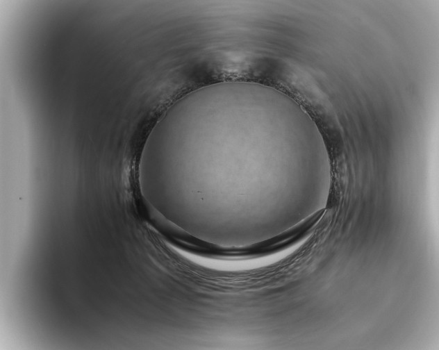 X0000094340225200711021456