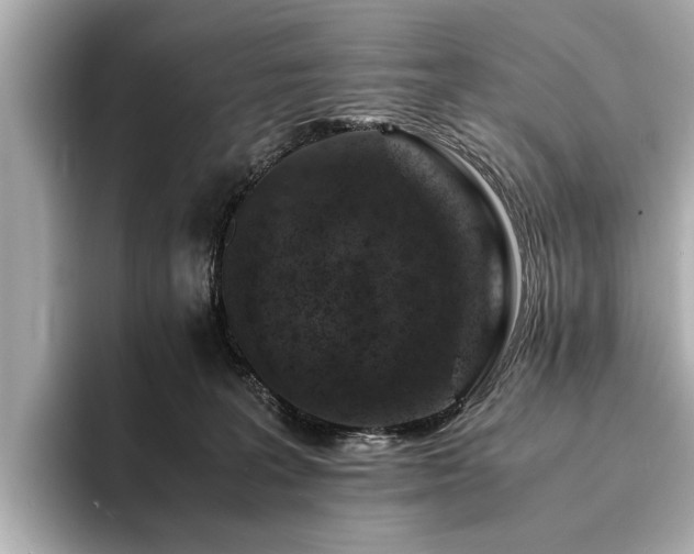 X0000094340227200711021456