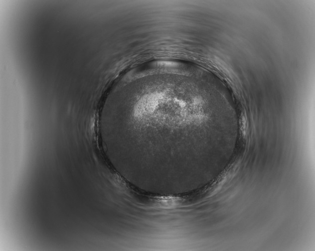 X0000094340233200711021456