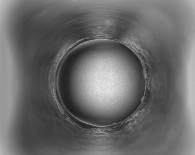 X0000094340241200711021456