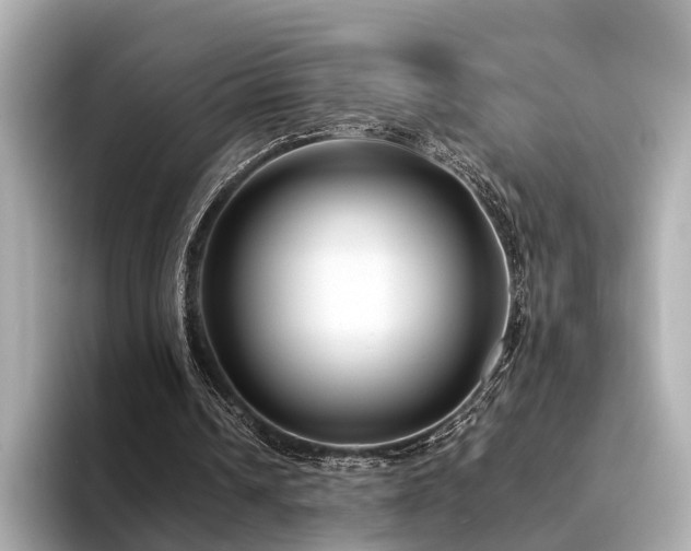 X0000094340242200711021456