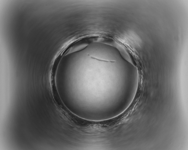 X0000094340244200711021456