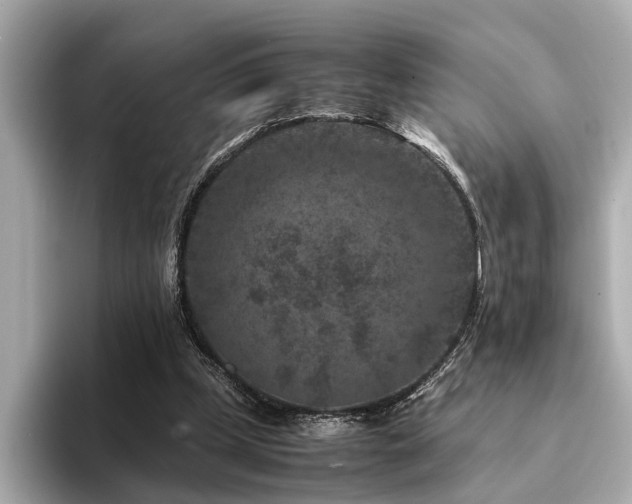 X0000094340249200711021456