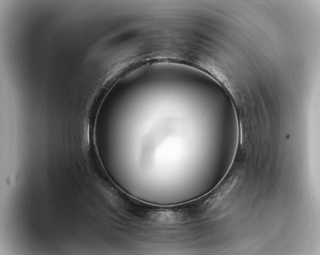 X0000094340253200711021456