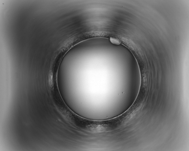 X0000094340254200711021456