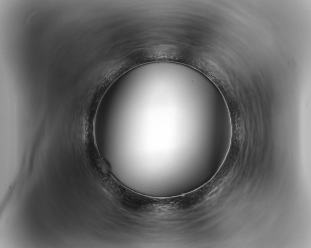 X0000094340255200711021456