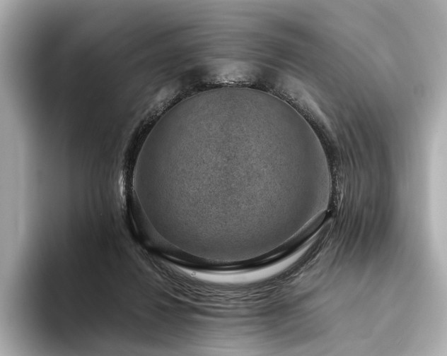 X0000094340260200711021456