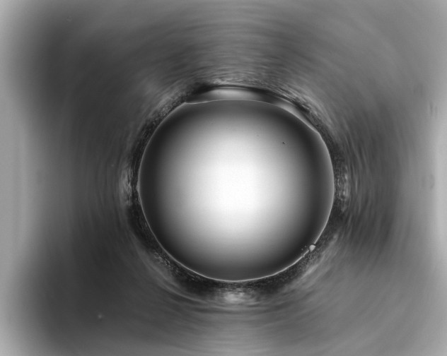 X0000094340264200711021456