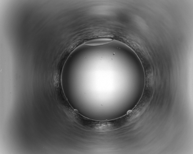 X0000094340274200711021456
