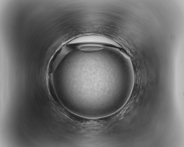 X0000094340290200711021456