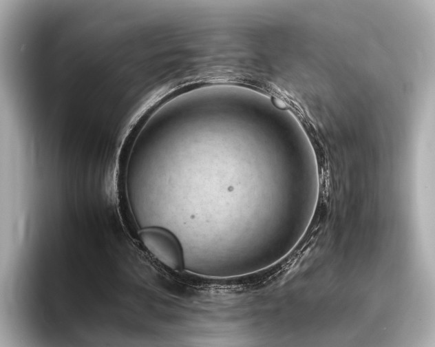 X0000094340292200711021456