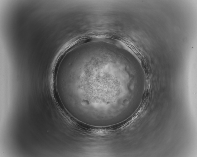 X0000094340293200711021456