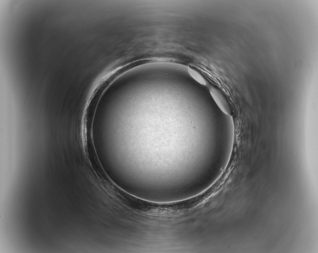 X0000094340294200711021456