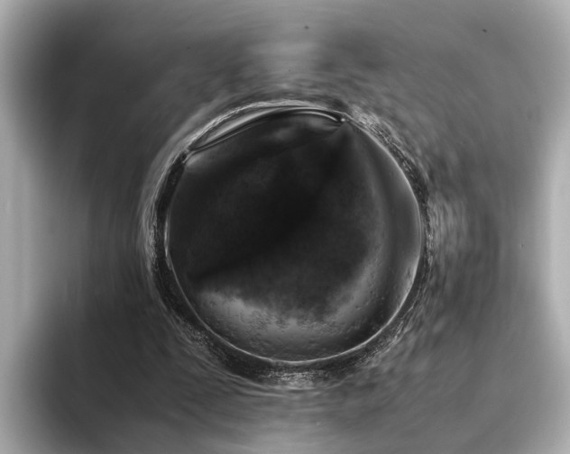 X0000094340295200711021456