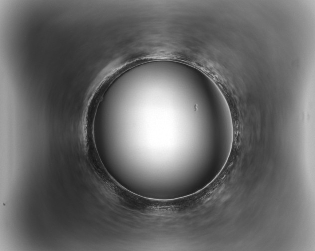 X0000094340296200711021455