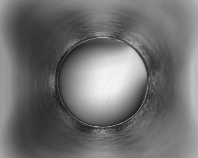 X0000094340297200711021455