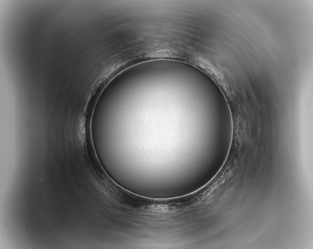 X0000094340298200711021455