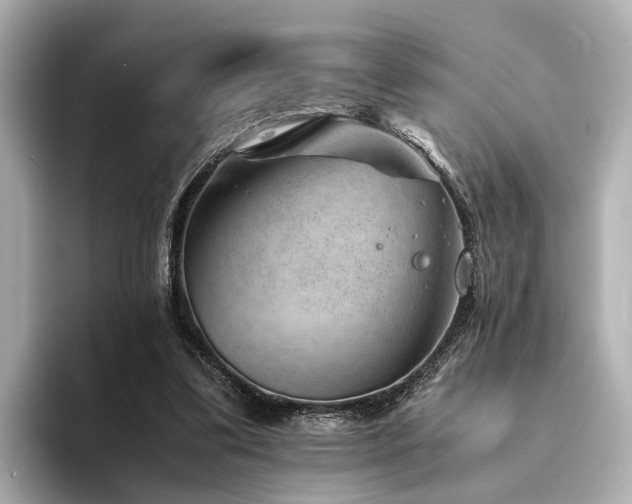 X0000094340299200711021455