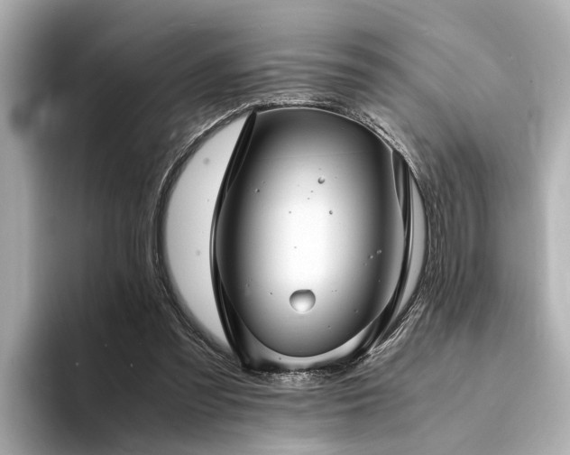 X0000094340301200711021455