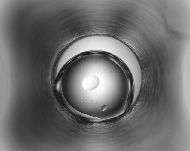 X0000094340302200711021455