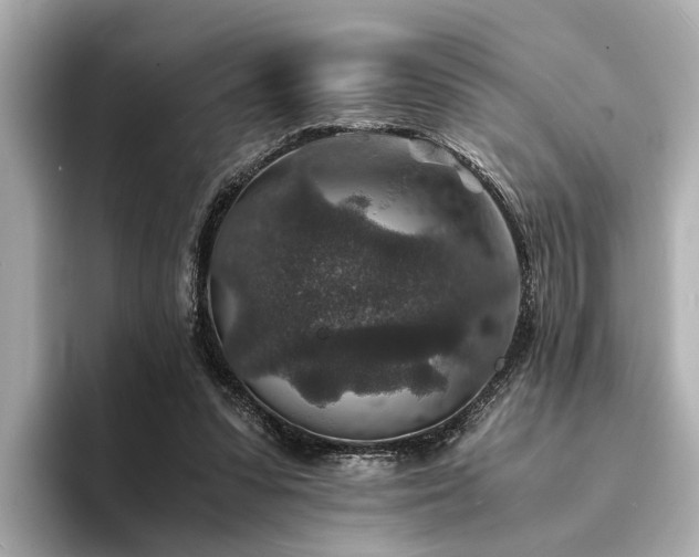 X0000094340303200711021455