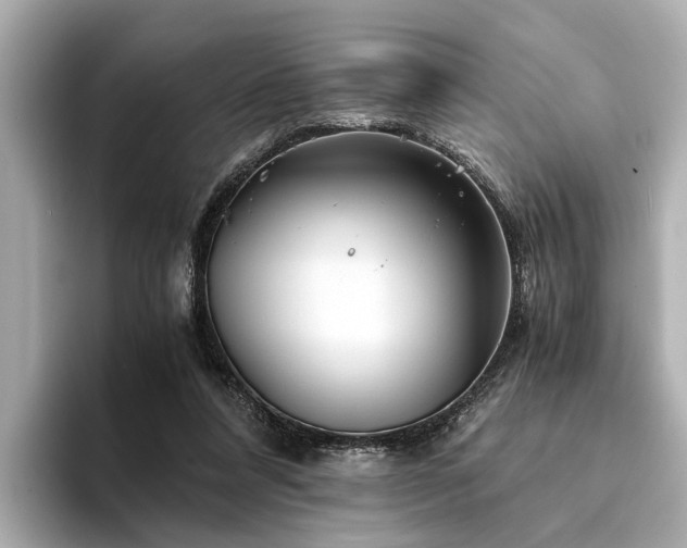 X0000094340304200711021455