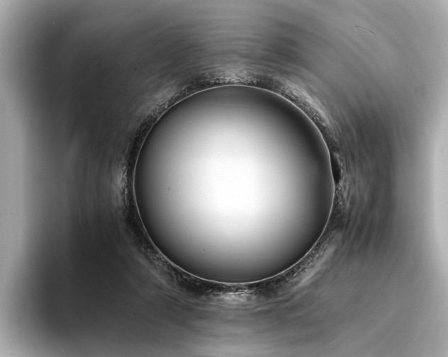 X0000094340306200711021455