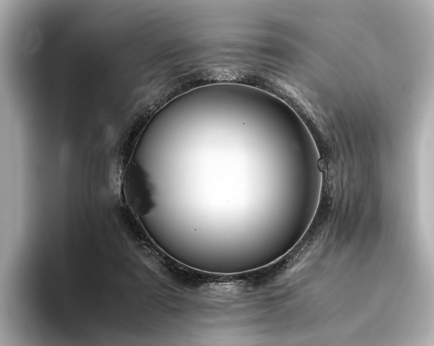 X0000094340307200711021455
