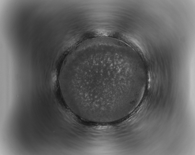 X0000094340314200711021455