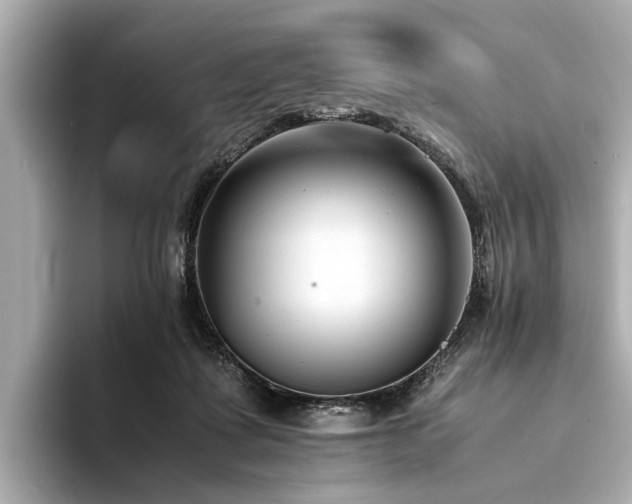 X0000094340315200711021455