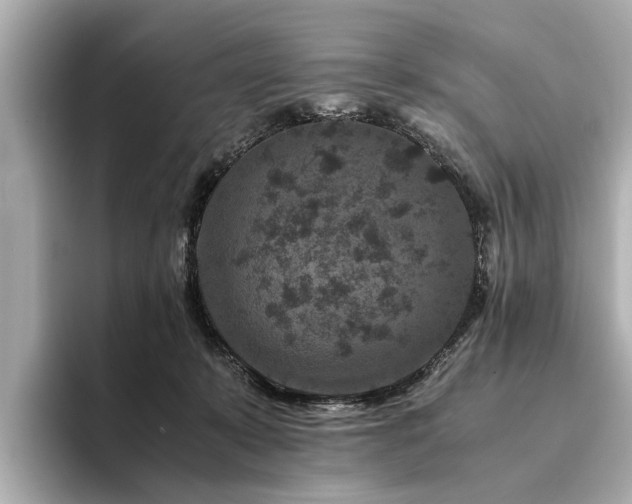 X0000094340319200711021455