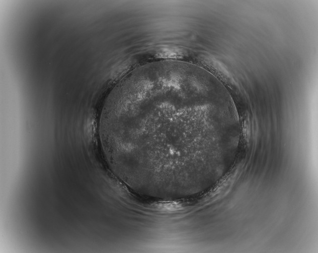 X0000094340322200711021455