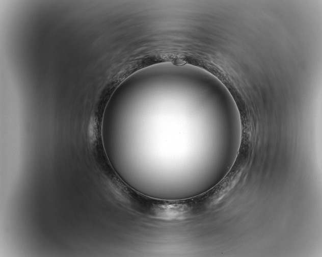 X0000094340323200711021455