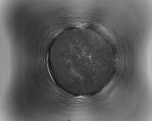X0000094340325200711021455