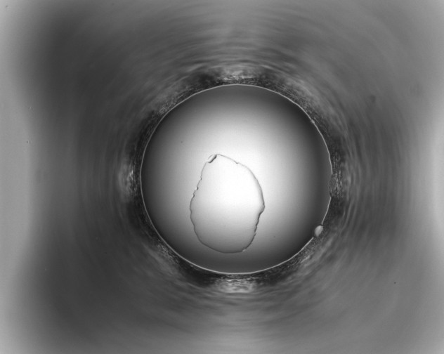 X0000094340327200711021455