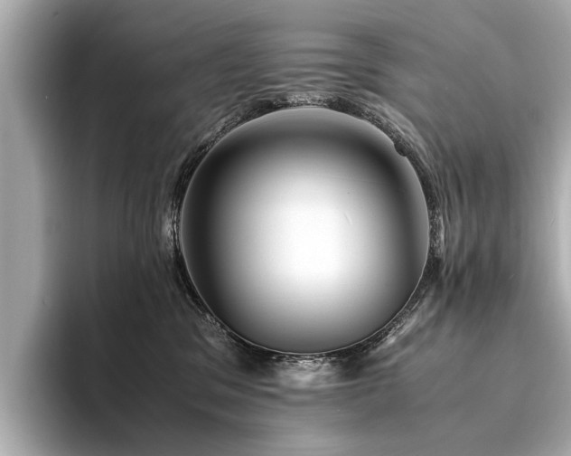 X0000094340329200711021455