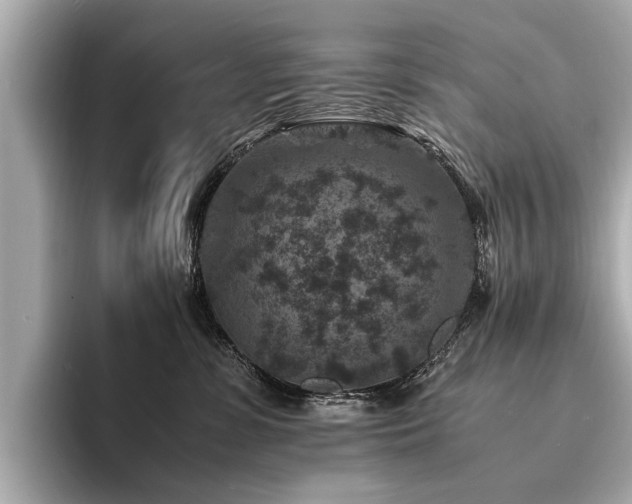 X0000094340331200711021455