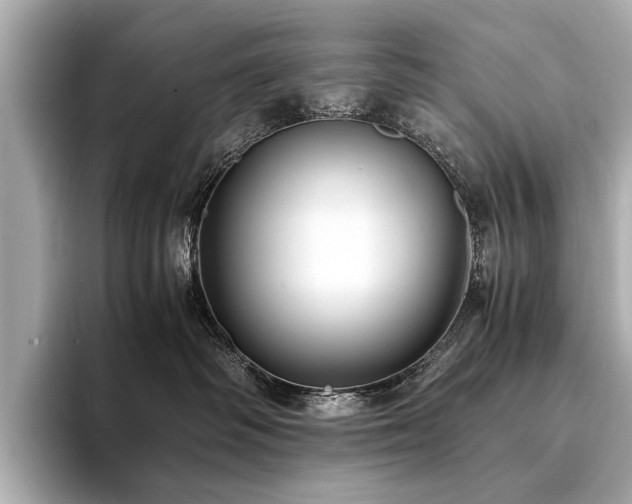 X0000094340334200711021455