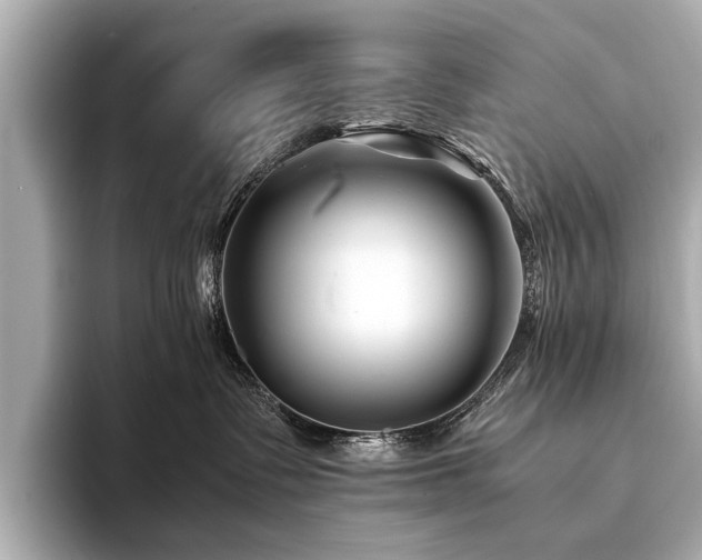 X0000094340335200711021455