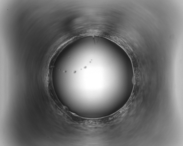 X0000094340338200711021454
