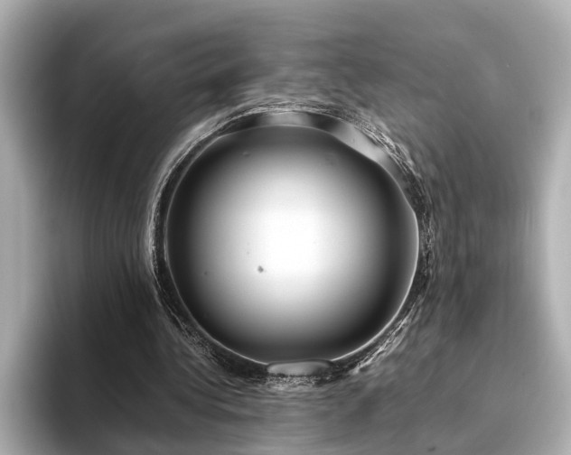 X0000094340340200711021455