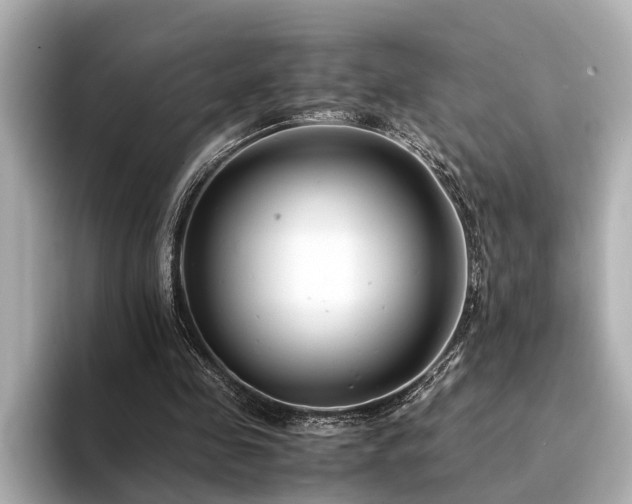 X0000094340341200711021455
