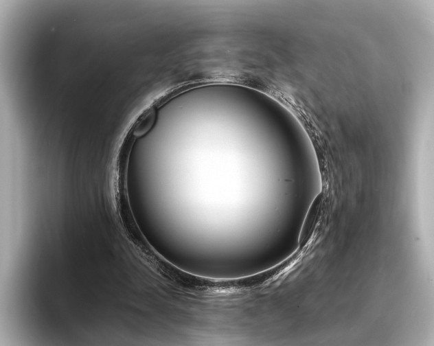 X0000094340342200711021455