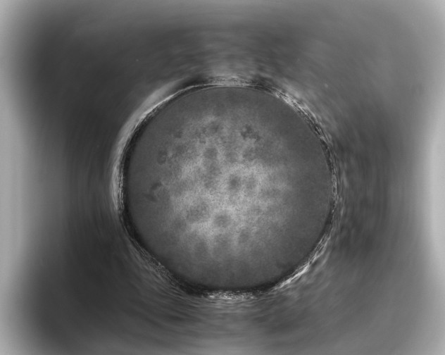 X0000094340343200711021455