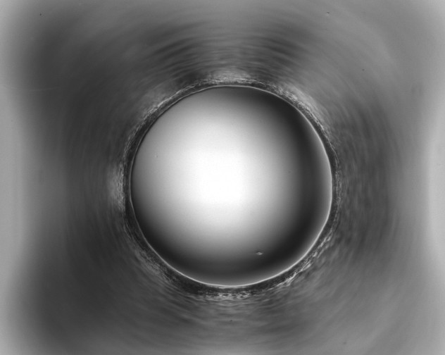 X0000094340345200711021455