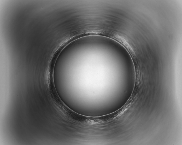 X0000094340346200711021455
